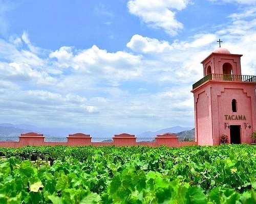 Wine Pisco winery tour PV Travels Quality Tours of Perú